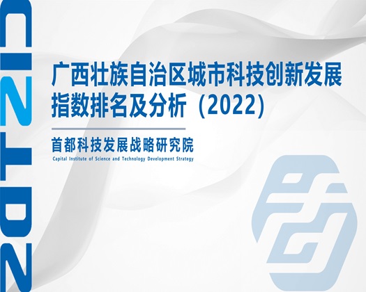 屁眼塞满精液视频【成果发布】广西壮族自治区城市科技创新发展指数排名及分析（2022）